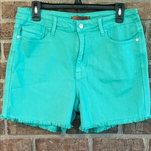 Judy Blue Aqua Jean Shorts